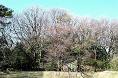 亀甲山古墳