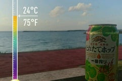 南浜公園