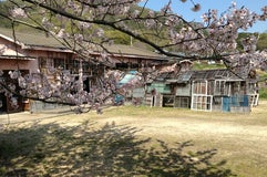 遠い記憶