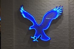 American Eagle Outfitters