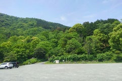 神奈川県立21世紀の森