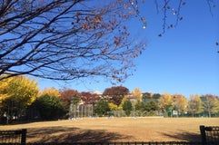 一本松公園