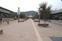 地元市場ハマテラス