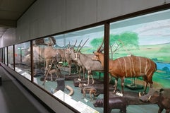 つやま自然のふしぎ館・津山科学教育博物館