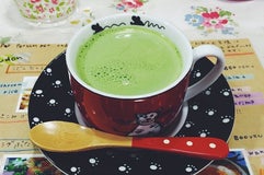 Cat Cafe にゃお島