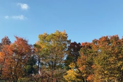 もえぎ野公園