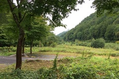 ミニ尾瀬公園