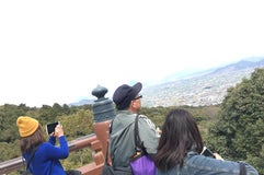 金比羅山