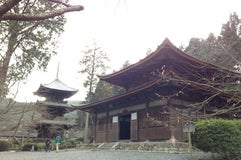 園城寺 (三井寺)