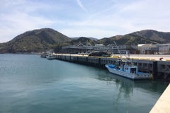 女川魚市場