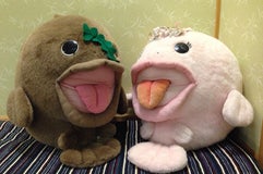 活紀州本クエ料理 九絵亭