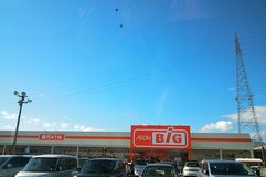 ザ・ビッグ 佐久インターウェーブ店