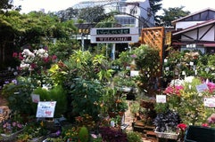 渋谷園芸