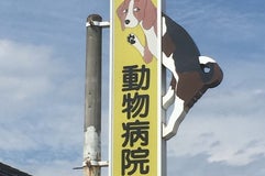 オギノ 田富店