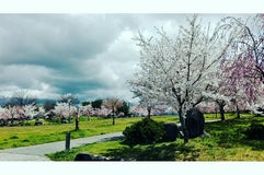 河北中央公園