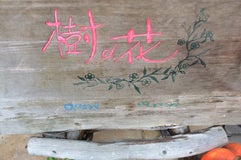 樹の花