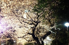 哲学堂公園
