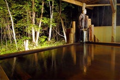 名湯の森ホテル きたふくろう