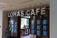 ロハスカフェ ARIAKE