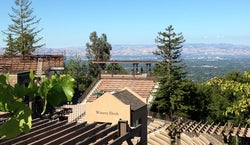 The Mountain Winery