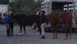 Reddmeade Equestrian Center