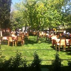 Muhtar'in Yeri