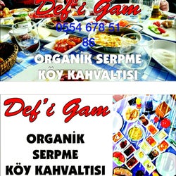 Defigam