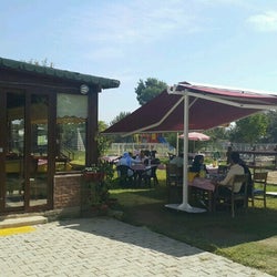 Sakız Sardunya