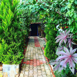 Tekirdağ otantik piknik