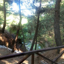 Düşler Vadisi
