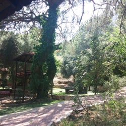Meşelik Et & Balık Restaurant