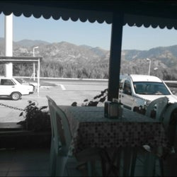Olivefe Aydın
