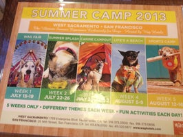 Wag Hotel Prices Photos Reviews West Sacramento Ca Wag Hotel
