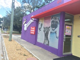 dog day afternoon orlando dog day afternoon orlando