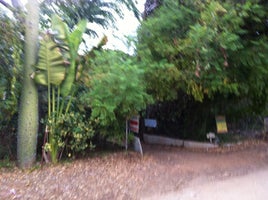 Exotica Rare Fruit Nursery Photos Reviews Vista Ca Exotica Rare Fruit Nursery