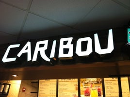 Caribou Coffee