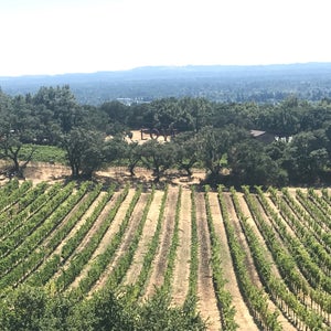 Photo of Paradise Ridge Winery