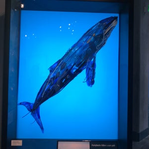 Photo of Monterey Bay Aquarium