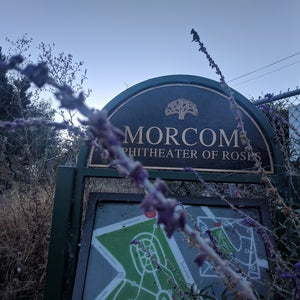 Photo of Morcom Rose Garden