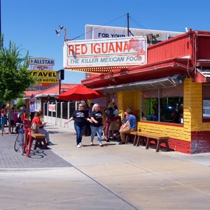 Photo of Red Iguana