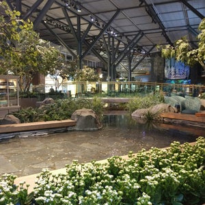 Photo of Vancouver International Airport (YVR)