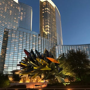Photo of ARIA Resort &amp; Casino