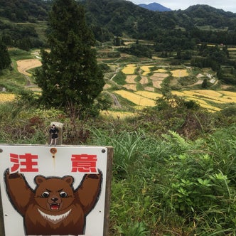 北越急行ほくほく線沿線の観光スポット こころから