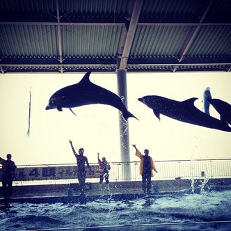 宮崎県の水族館 こころから