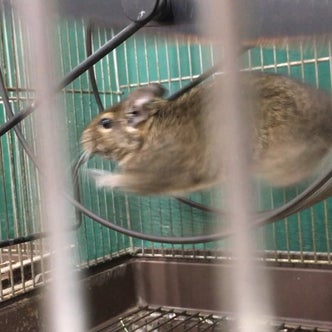 関東地方の観光スポット 324ページ目 こころから