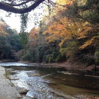 養老渓谷駅周辺の観光スポット こころから