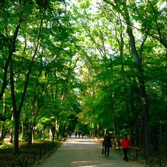 北山駅 京都府 周辺の観光スポット こころから