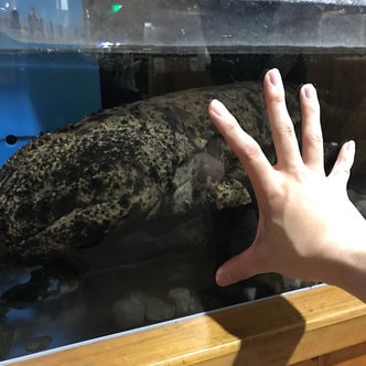 宮崎県の水族館 こころから