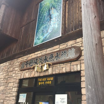 宮崎県の水族館 こころから