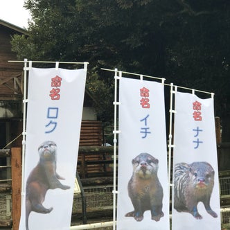 狭山 入間 埼玉県 のエンターテイメント こころから